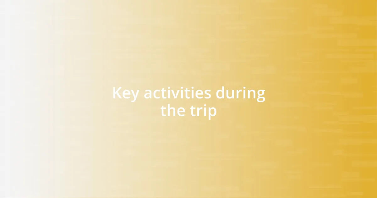 Key activities during the trip